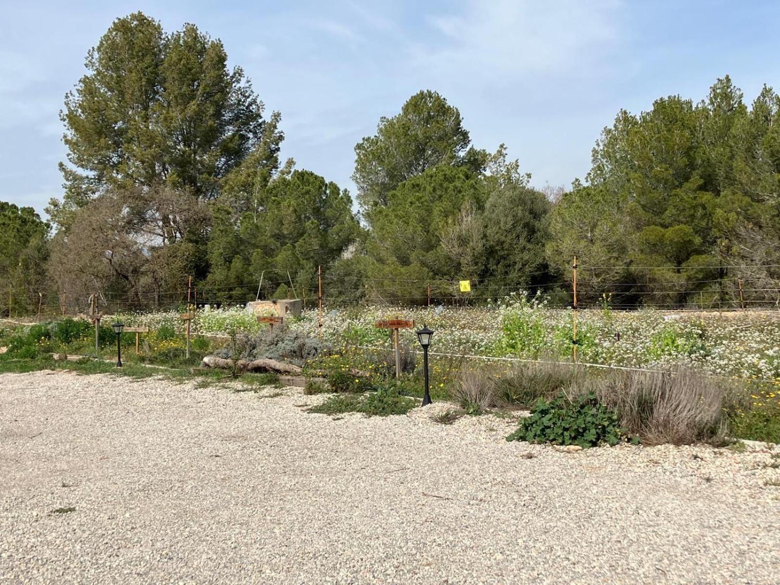 Apartment With Private Pool And Garden San Martín Sarroca Buitenkant foto
