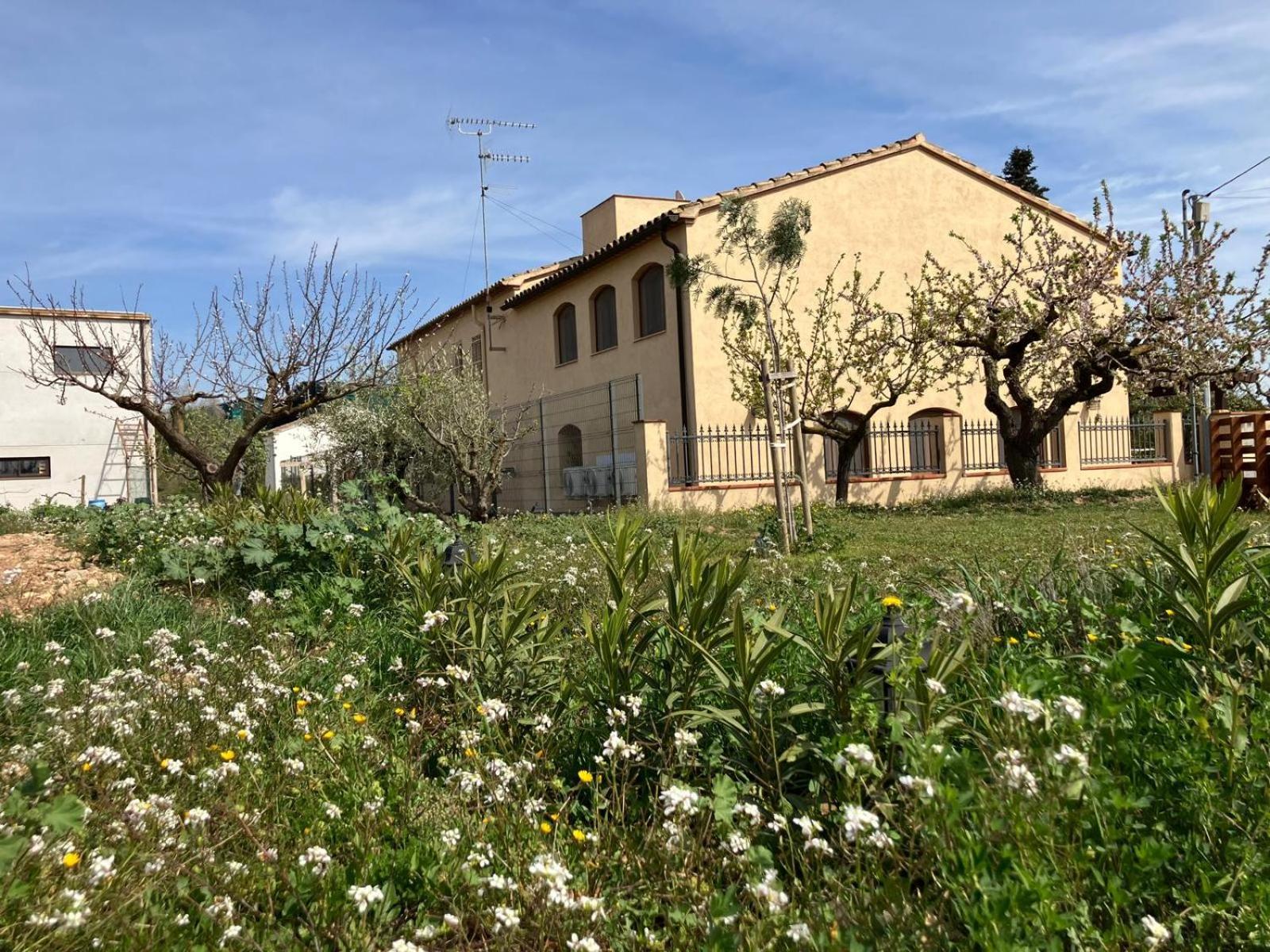 Apartment With Private Pool And Garden San Martín Sarroca Buitenkant foto